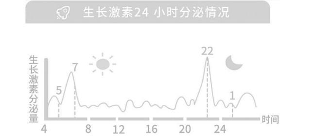 生长激素分泌图